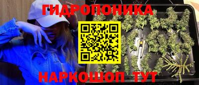 прущие грибы Новокубанск
