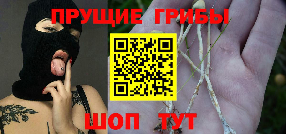 Псилоцибиновые грибы мицелий  Галлюциногенные грибы ЛСД  Вход с VPN  Татарск 